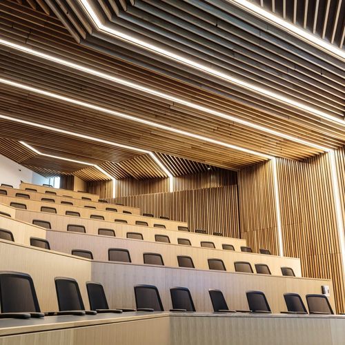 Panneau acoustique pour mur - Specialist Joinery Group - en bois / rectangulaire / pour auditorium