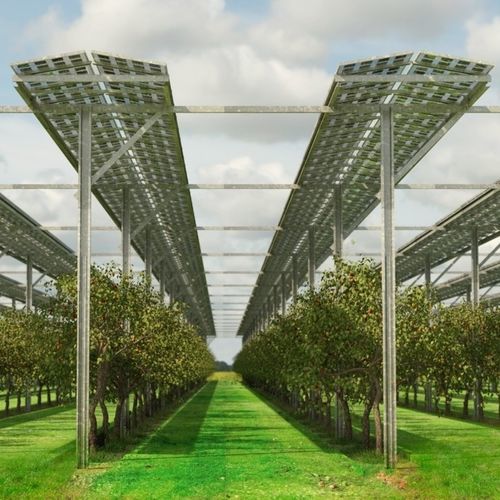 Système de montage de plein champ - FlexAgri Fruit - voestalpine Sadef nv - solaire / pour panneau photovoltaïque