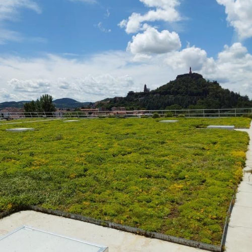 Système pour toiture végétalisée extensive - VEGETEK - semi-intensive / pour toit-terrasse / avec installation photovoltaïque integrée