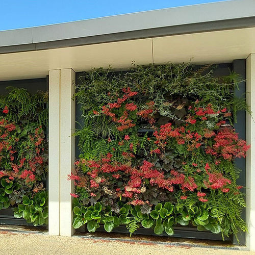 Mur végétal en végétaux vivants - VEGETEK - naturel / floral / d'intérieur