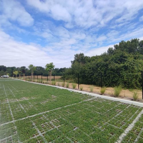 Structure pour espace végétalisé pour arbres - VEGETEK - pour buissons / modulaire / pour espace public