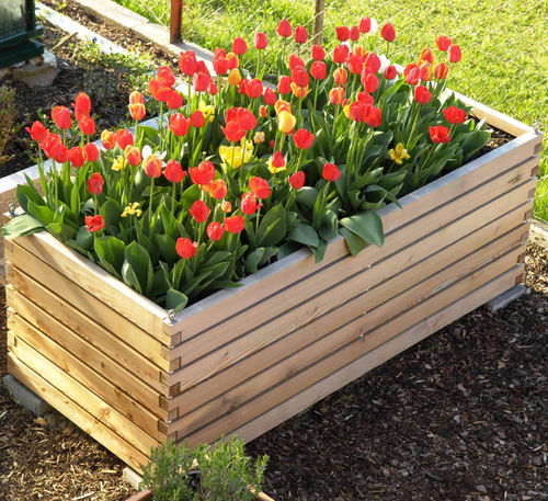 Carré potager en mélèze - Gartenfrosch GmbH - résidentiel / d'extérieur / avec arrosage intégré
