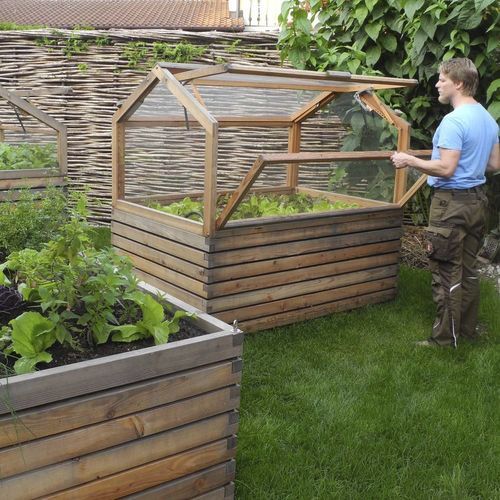 Serre de jardinage - Gartenfrosch GmbH - monochapelle / en mélèze / à double vitrage