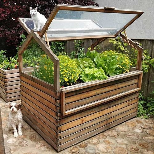 Serre de jardinage - Gartenfrosch GmbH - monochapelle / en mélèze / à cadre froid
