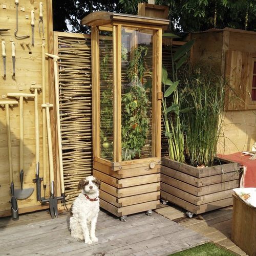Serre de jardinage - Gartenfrosch GmbH - monochapelle / en mélèze / pour tomates