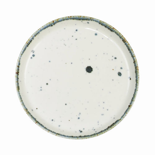 Assiette ronde - Dreamy : 056004004193 - COSTA VERDE - en porcelaine / professionnelle / à motif