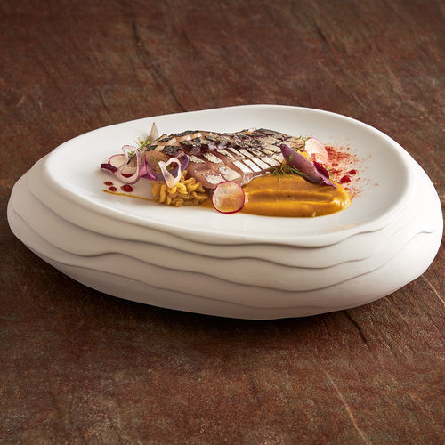 Assiette plate - Terra : 067000400001 - COSTA VERDE - ovale / en porcelaine / professionnelle