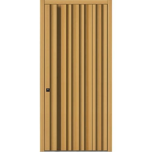Porte d'entrée - HS940 - DOORS, d.o.o. - en mélèze / battante / contemporaine