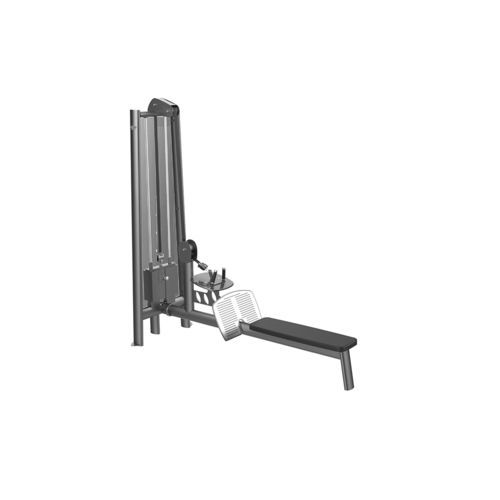 Appareil de musculation dos - G4016 - gym80 International GmbH - d'intérieur / professionnel