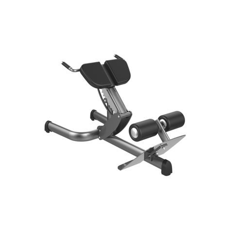 Appareil de musculation extension du dos - G4119 - gym80 International GmbH - d'intérieur / professionnel