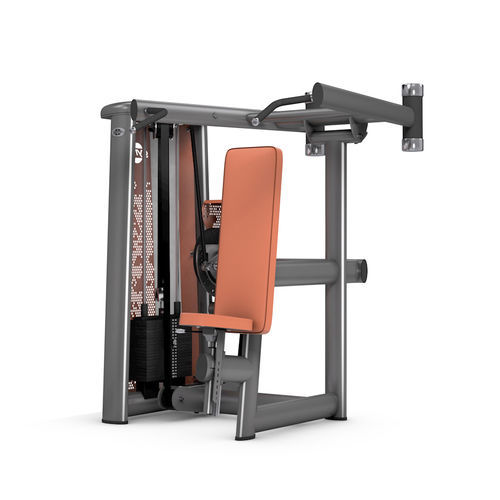 Appareil de musculation dos - 5015 - gym80 International GmbH - d'intérieur / professionnel