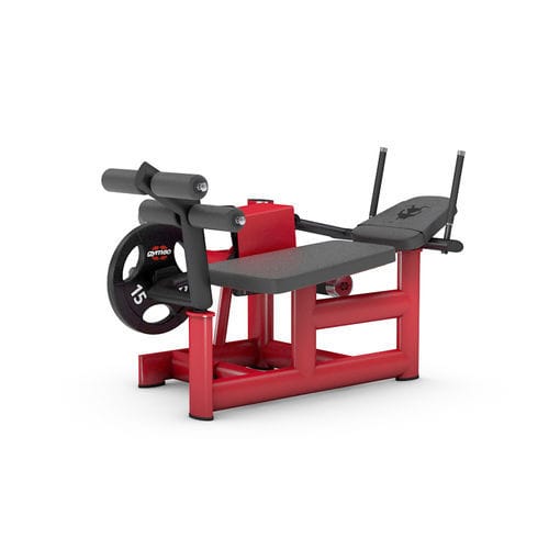 Appareil de musculation crunch abdominal - 4307 - gym80 International GmbH - d'intérieur / professionnel