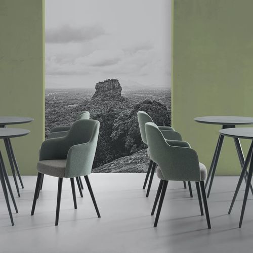 Fauteuil contemporain - AXEL - TM Leader Contract - en tissu / en acier / en bois