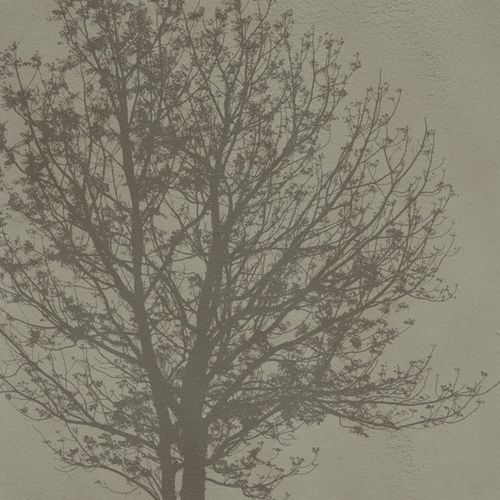 Papier peint contemporain - A Tree - SPAGHETTIWALL - en fibre de cellulose / en textile non-tissé / à motif nature