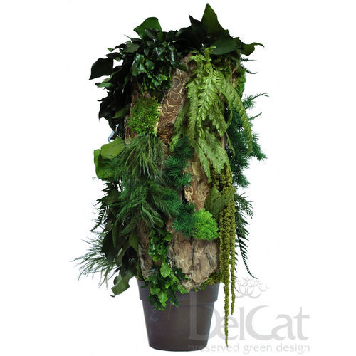 Plante ornementale stabilisée - TOTEM FOREST - Belcat Bt. - totem / sur mesure / pour intérieur
