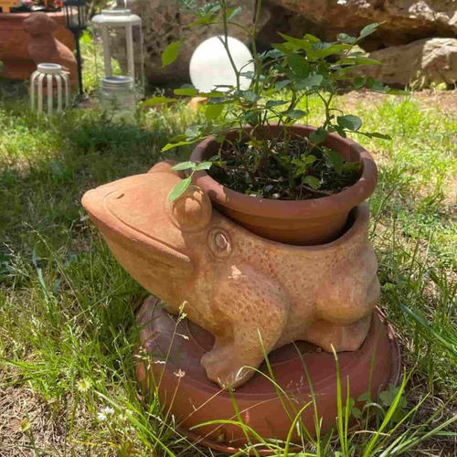 Cache-pot en terracotta - Rana Aperta - cestenoli srl