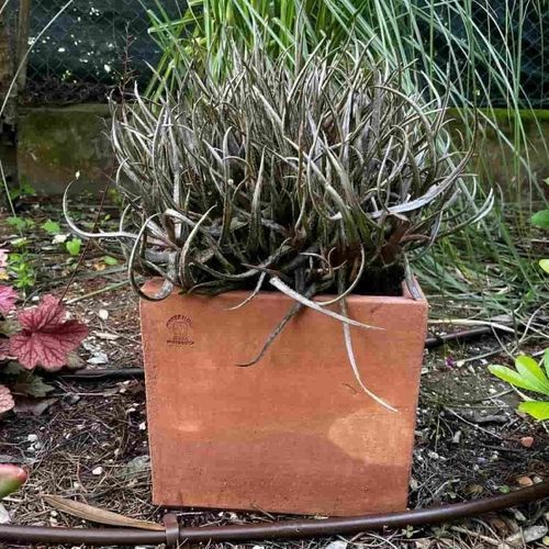 Jardinière en terracotta - Liscio Impruneta - cestenoli srl - carrée / fait main / contemporaine