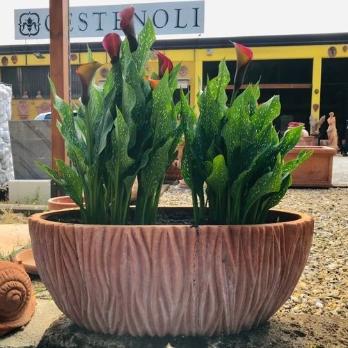 Jardinière en terracotta - Lavorato  - cestenoli srl - ovale / fait main / contemporaine