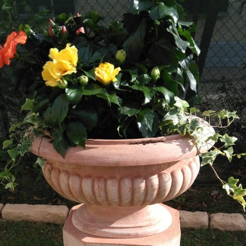 Jardinière en terracotta - Calice Ovale - cestenoli srl - ovale / fait main / classique