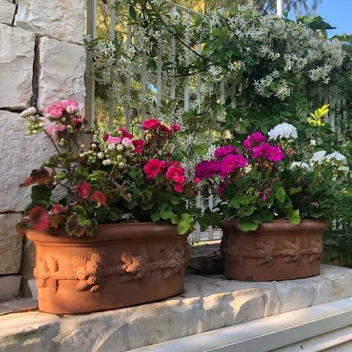 Jardinière en terracotta - con frutta - cestenoli srl - ovale / fait main / classique