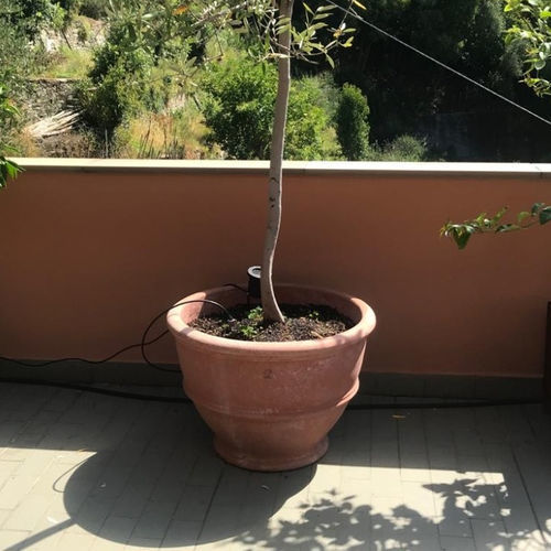 Pot de jardin en terracotta - con Piede Largo - cestenoli srl - rond / résidentiel