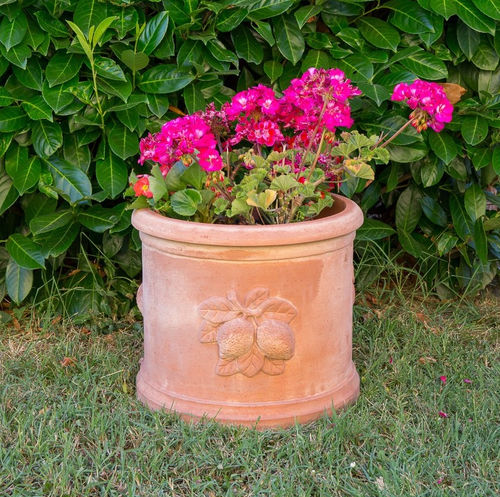 Pot de fleur en terracotta - con Limoni - cestenoli srl - cylindrique / résidentiel