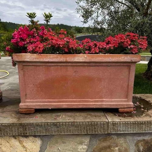 Jardinière en terracotta - Liscia Impruneta - cestenoli srl - rectangulaire / fait main / classique