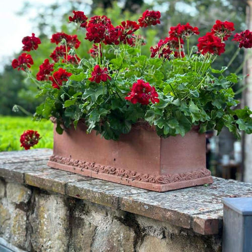Jardinière en terracotta - con Decorazione Greca - cestenoli srl - rectangulaire / fait main / classique