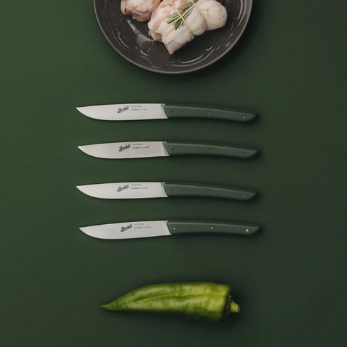 Couteau à steak avec manche en plastique - COLOR SET OF 4 GREEN - Berkel - avec lame en acier inoxydable