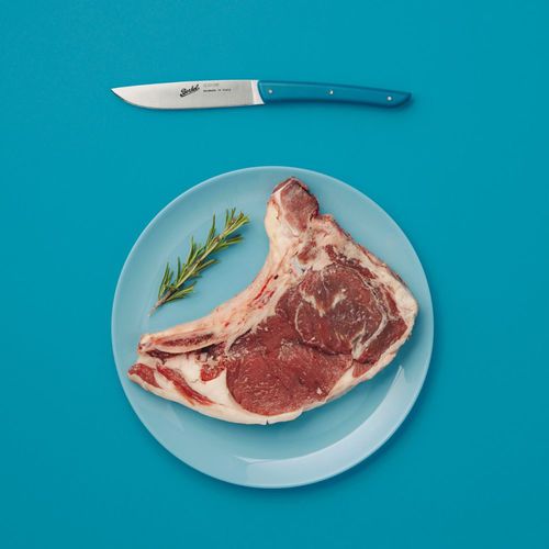 Couteau à steak avec manche en plastique - COLOR SET OF 4 PETROLEUM BLUE - Berkel - avec lame en acier inoxydable