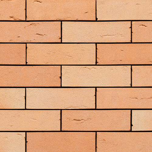 Brique pour façade - TFV Peacock - Vale de Gândara - pour mur / perforée / en clinker