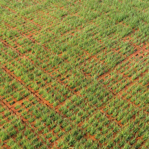 Pavé en céramique - Vermelho Vulcânico - Vale de Gândara - extérieur / de jardin / drainant