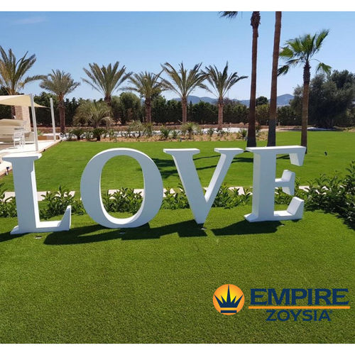 Gazon naturel - Zoysia Empire - Novogreen - en rouleau / pour jardin / pour espace public