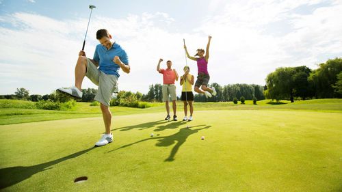 Gazon naturel - AGROSTIS 007 - Novogreen - en rouleau / pour terrain de sport / pour terrain de golf