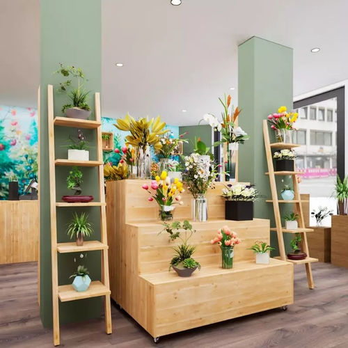 Présentoir pour plante - PR04326F - Tradis Design - en bois massif / unilatéral / 3 étagères