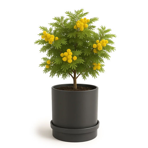 Jardinière en métal - ARES - LL53 - circulaire / à haute résistance / tubulaire