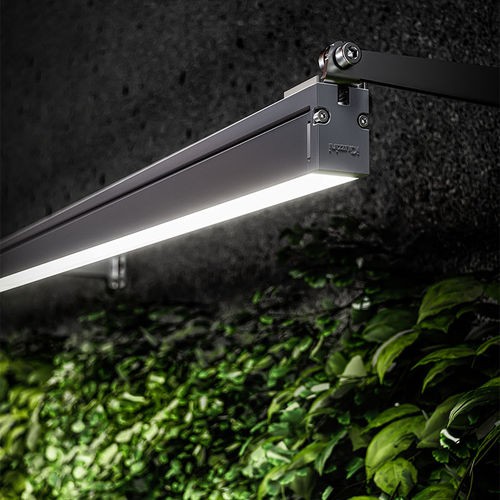Projecteur IP66 - LINEALUCE - iGuzzini - LED RGB / LED RGBW / professionnel