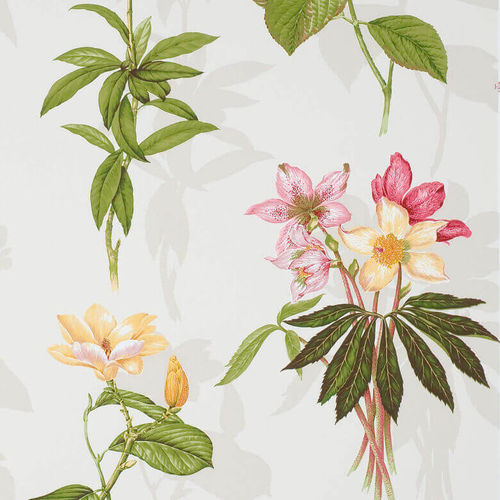 Papier peint classique - OMBRE  - PIERRE FREY tissus - à motif floral / imprimé / en rouleau