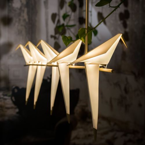 Suspension - Perch Branch - moooi - en aluminium / en acier / en polypropylène