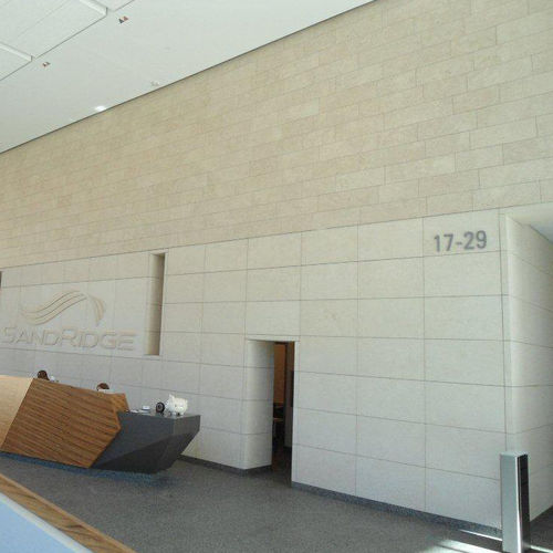Parement en pierre naturelle - Stone panels - intérieur / finition naturelle / décoratif