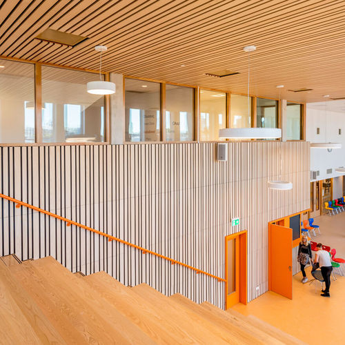 Parement en bois - Derako&reg; Veneered Linear Wall - Hunter Douglas Architectural - pour mur intérieur / à clipser / contemporain