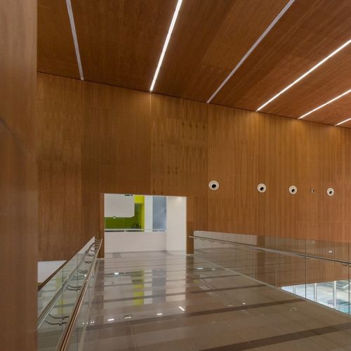 Revêtement mural acoustique - Derako® Veneered Panels Wall - Hunter Douglas Architectural - pour intérieur / en placage de bois / lisse