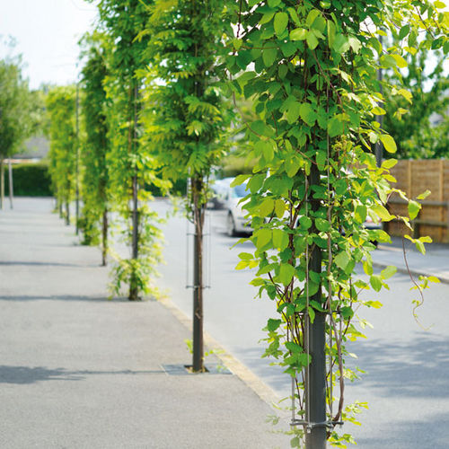 Tuteur de plantes - BABYLONE - AREA