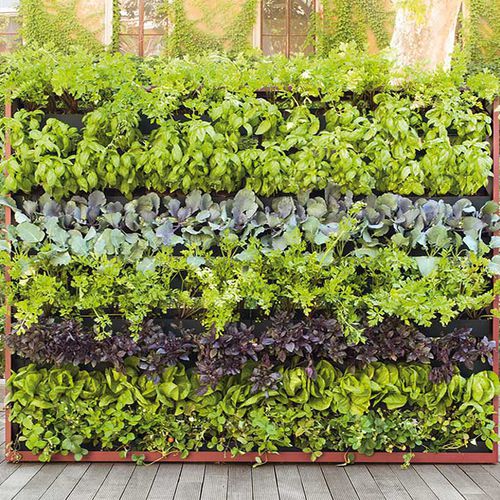 Treillage en métal peint - GREENERY - PAOLA LENTI