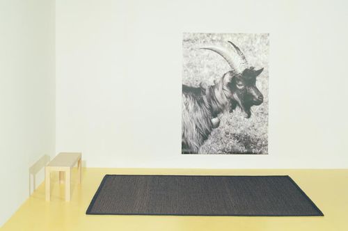 Tapis contemporain - CAPRA - Ruckstuhl AG - à rayures / uni / en sisal