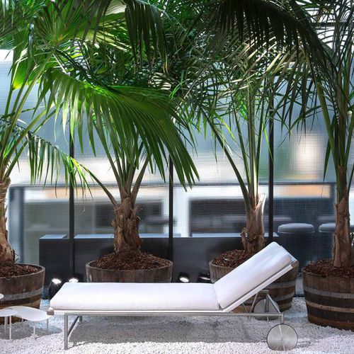 Bain de soleil contemporain - SALE - Living Divani - en tissu / en acier inoxydable / de jardin