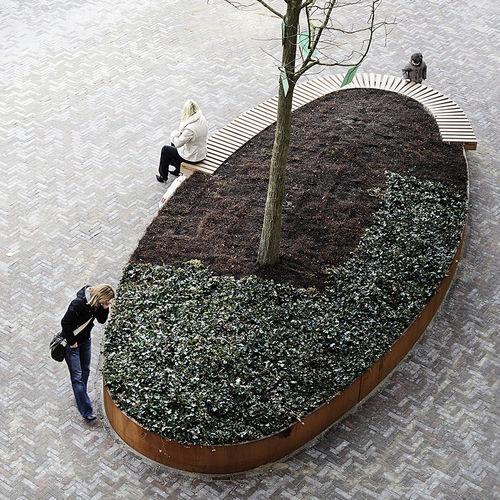 Jardinière en bois de feuillus - ROUGH&READY OVAL TREE ISLES - Streetlife - en acier / ovale / sur mesure