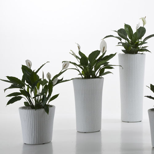 Pot de jardin en polyéthylène - SYLOS - Dolcefarniente by DFN srl - conique