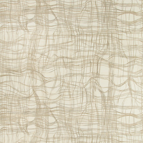 Papier peint contemporain - ENTANGLE - GP & J BAKER - en coton / à motif / aspect tissu