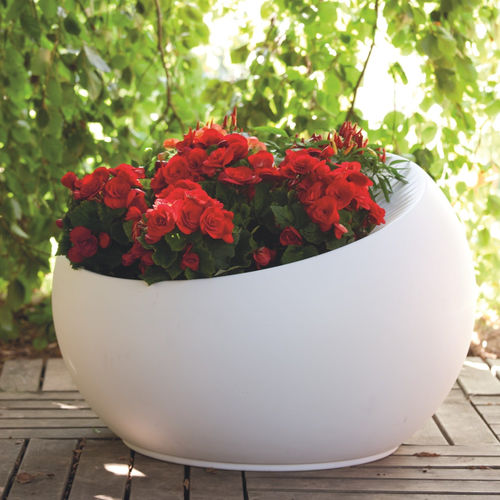 Pot de jardin en polyéthylène basse densité (PEBD) - UOVO DI COLOMBO - SERRALUNGA - par Carlo Colombo / résidentiel / blanc